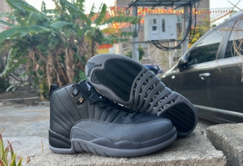 wholesale cheap online nike air jordan 12 shoes